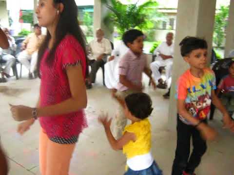 Dharmi Birthday Tulip