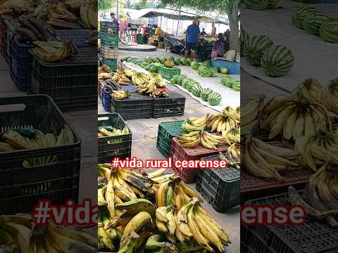 #shortvideo feira livre quixabeira Bahia