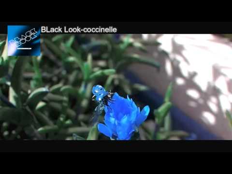 Black Look-coccinelle(Video Clip)