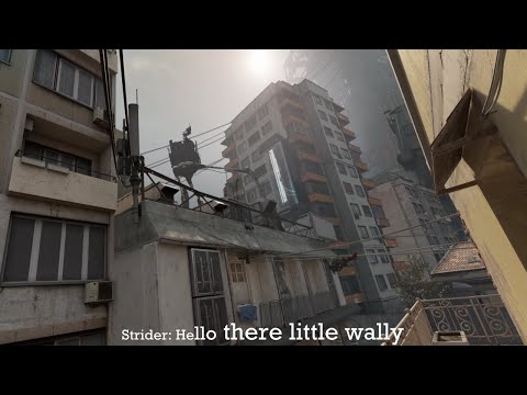 Why Striders shouldn't get subtitles