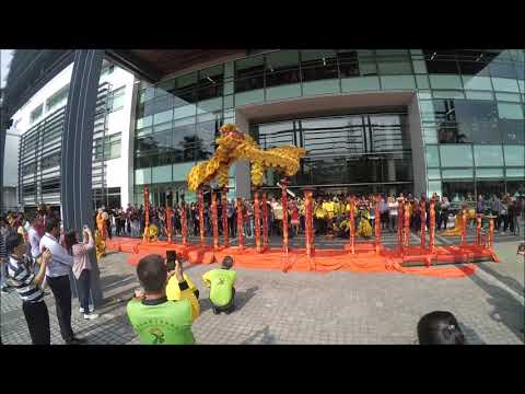 Digi Lion Dance 2020