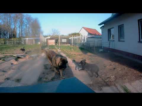 2020 0327 172428 083