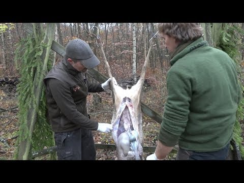 Eksoderil der Preis perm der Planet der Gesundheit Die Behandlung gribka der Nägel auf den Beinen vom Salz