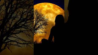 Download lagu ELLA SEMBILU FULL NYA PROFIL #viral #prank #politics #popular #malaysia #fyp #fpyシ #whatsappstatus mp3