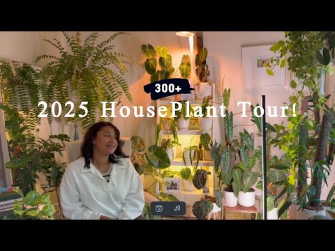 My 2025 Houseplant Tour! (First Floor)