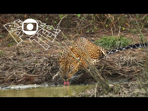 Globo Reporter  - Sri Lanka - Programa de 13/12/2024