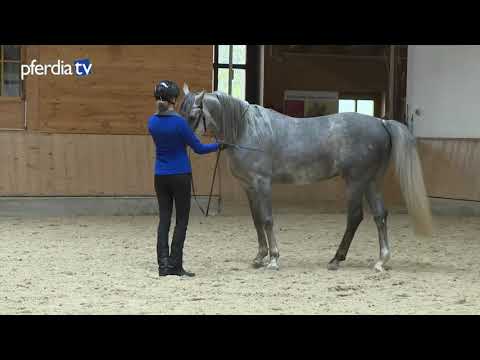 Malakil: Basic training and lateral movements in hand | Anja Beran