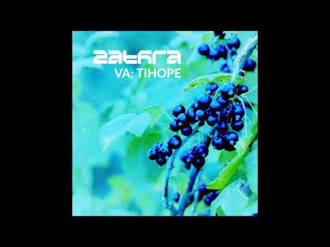 Internal Observer - Botrytis Cinereus [ZTR004]