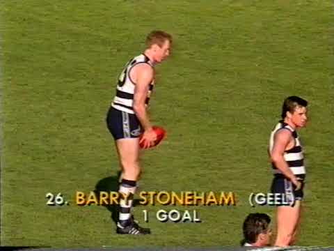 1993 Round 21 Geelong Vs Essendon at Kardinia Park