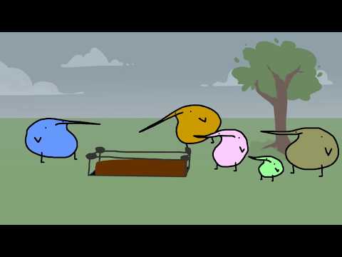 download lagu mp3 mp4 Bird Funeral, download lagu Bird Funeral gratis, unduh video klip Bird Funeral