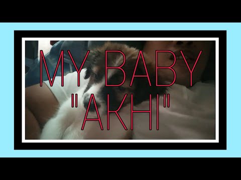 MEET MY BABY "AKHI"| Willy Millares VLOG