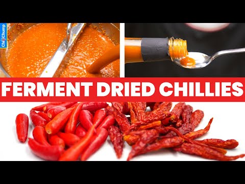 How to Ferment Dried Chillies for Hot Sauce