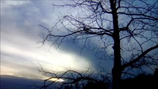 The Mulchmen   '' Shake Some Evil ''