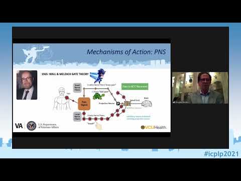 ICPLP2021 - Workshop: Peripheral Nerve Stimulation