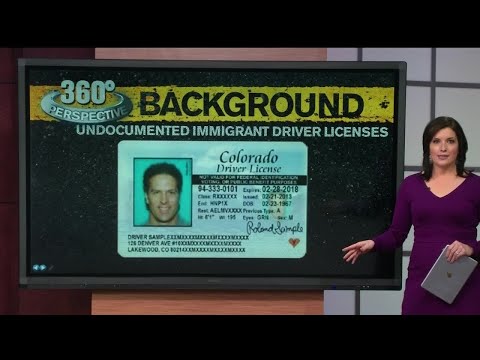 360° Perspective: Immigrant Driver's Licenses