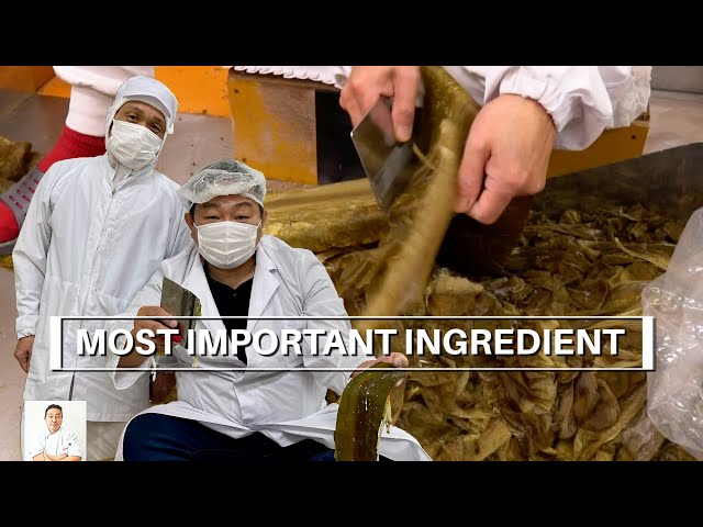 The Most Important Japanese Ingredient and How It's Made: Kochi Prefecture