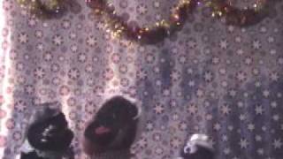 Funny Christmas song- Kung Pao Buckaroo Holiday