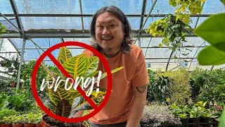 DON’T Buy the Wrong Plants! | Beginner Help