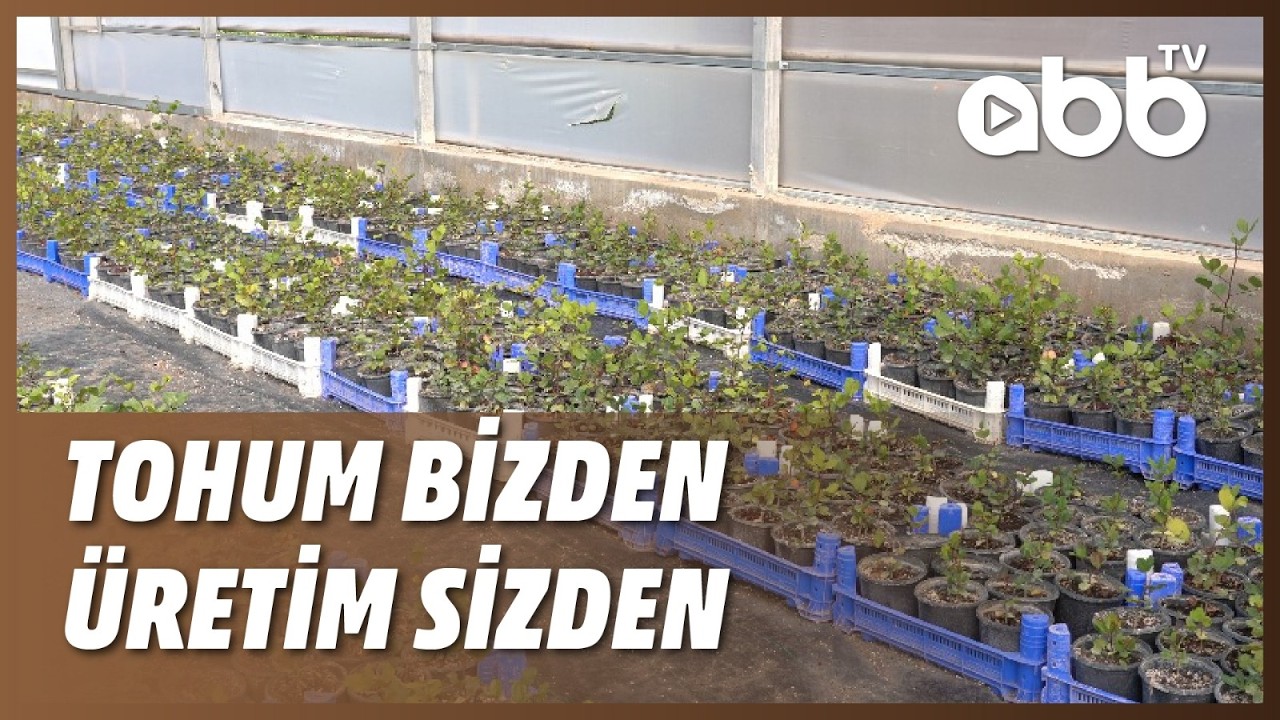 TOHUM BİZDEN ÜRETİM SİZDEN