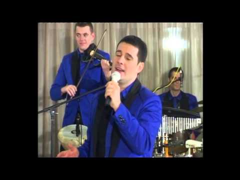 Aleksandar Sofronijevic Band - Zlatne strune LIVE