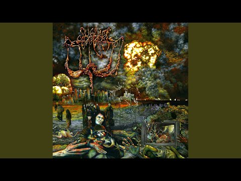 Misleading Weapons of Mass Destruction