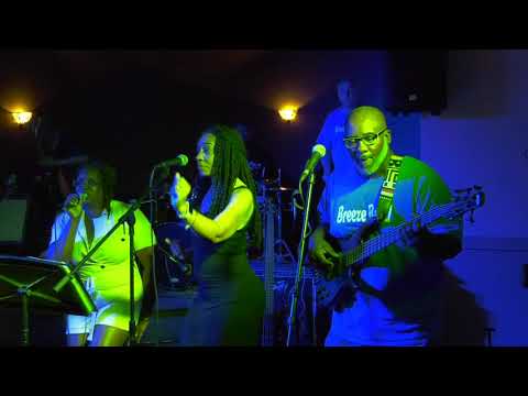 Blues for Shoes Benefit - The Breeze Band