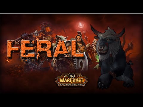 Feral Druid Basic Gameplay Guide WoD 6.1