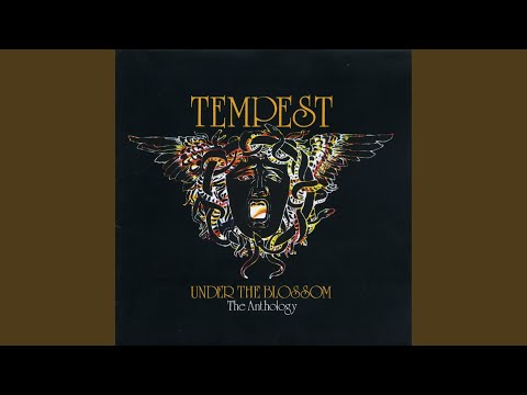 Brothers (BBC Session)