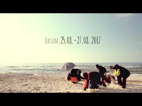 Plötzlich am Meer 2017 - Plötzlich Affenbande