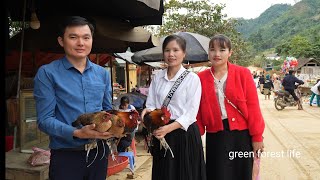 Accidentally met lover again in the highland market. Robert | Green forest life