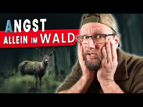 Angst allein Im Wald zu schlafen? 10 Tipps für deinen Solo Overnighter