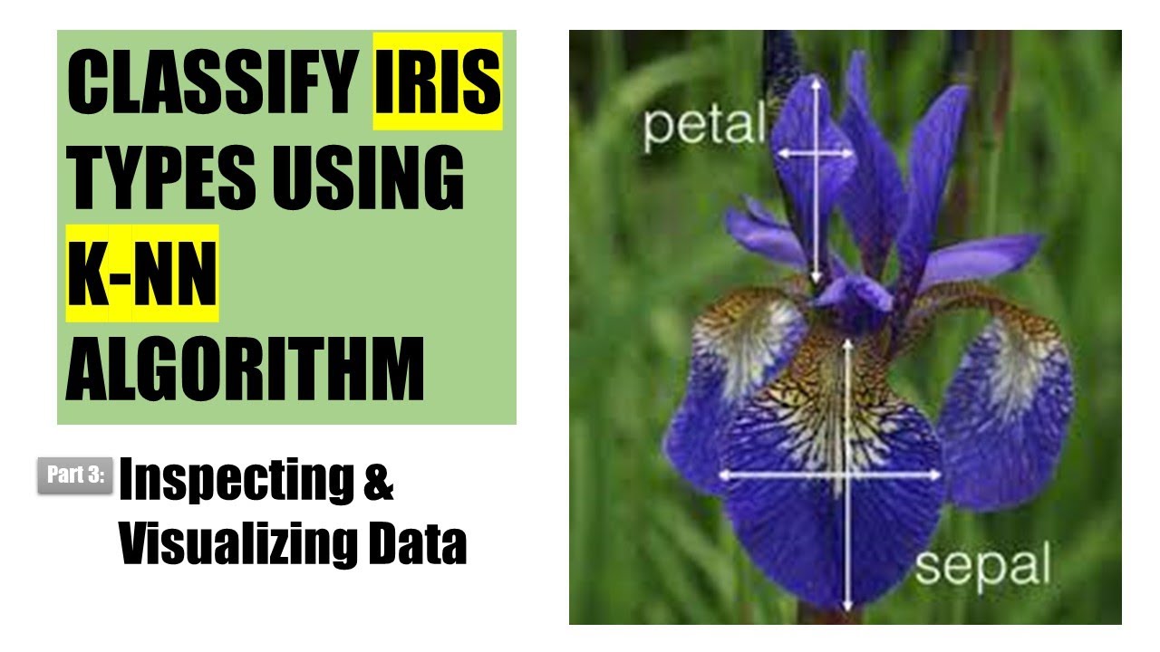 Classifying Iris types using KNN machine learning algorithm Part 3: Inspecting and Visualizing Data