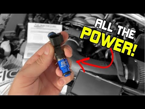 My 2019 Mustang GT Gets a HUGE UPGRADE From FUEL INJECTOR CLINIC