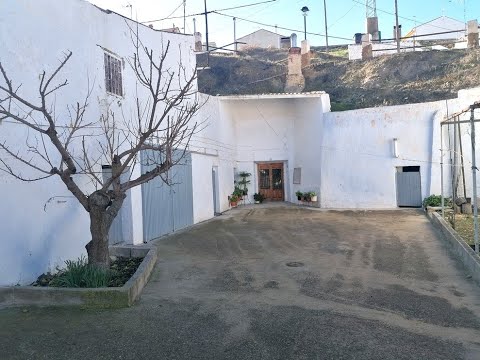 video image