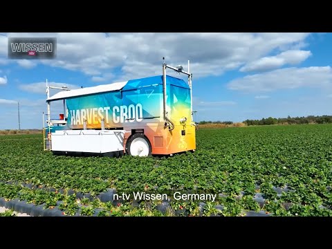 Autonomous Robotic Strawberry Harvesting - Harvest CROO, Tampa Florida -  video from TV Wissen