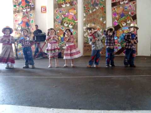 Arraia Obj. Junior .MPG