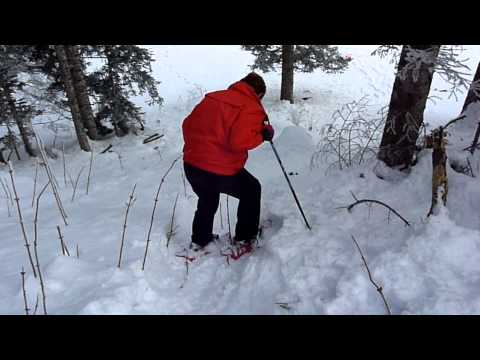 download lagu mp3 mp4 St Cergue Raquettes Neige, download lagu St Cergue Raquettes Neige gratis, unduh video klip St Cergue Raquettes Neige