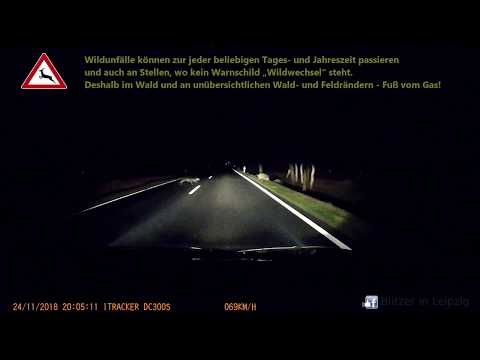 "Wildwechsel" - So verhalten Sie sich angemessen...