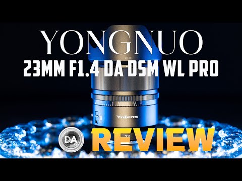 Video thumbnail for Video Review 2