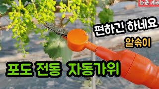 #알솎이 #자동전동가위 #여름