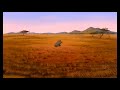 Lion King Zazu Squashed By Rhino Butt