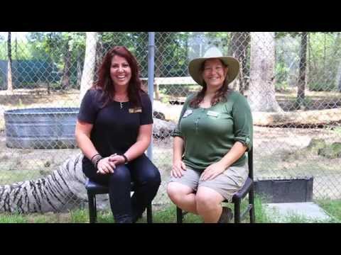 Additional Footage From "Tale Of The Tiger!" Scaly Adventures Episode #20