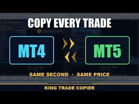 Video King Trade Copier MT4