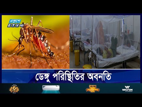 চলতি বছর ডেঙ্গুতে মৃতের সংখ্যা ২০০ ছাড়ালো
