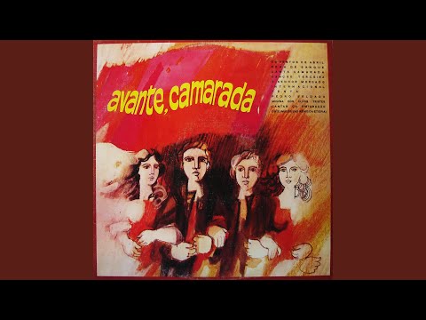 Avante Camarada