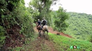 preview picture of video 'The best Horseback Riding Tour in Jaco Beach and Los Suenos Costa Rica'