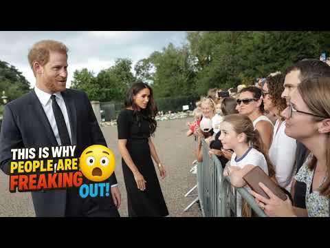 Meghan Markle & Prince Harry Are Prepping for 'Roy