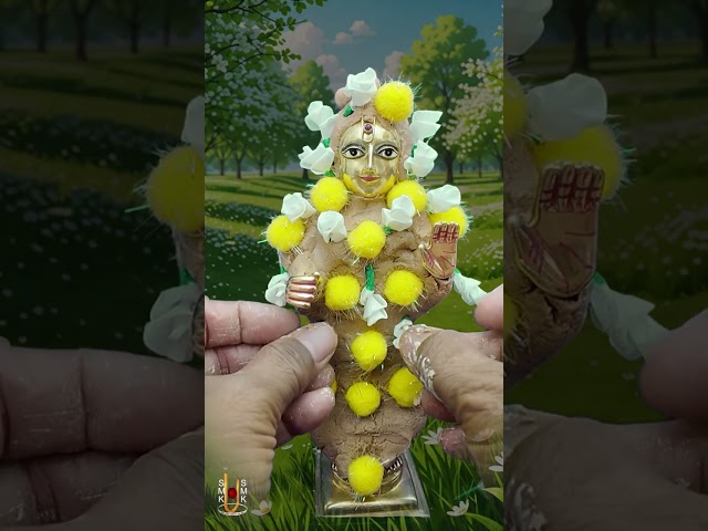હરિકૃષ્ણ મહારાજ