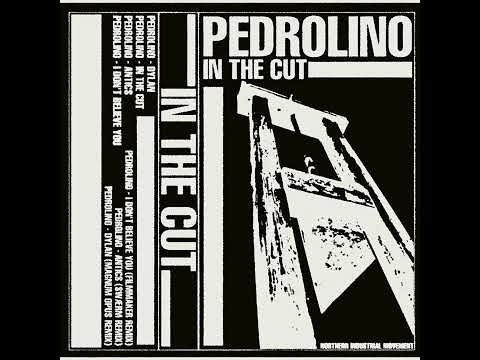 PREMIERE: Pedrolino - Antics (swærm Remix) [N.I.M Tapes]