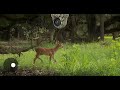 Kameros medžioklei su SIM kortelėmis